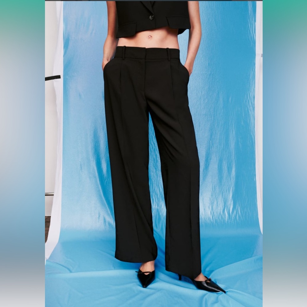 NWT Zara Pleated Wide Leg Pants With Darts